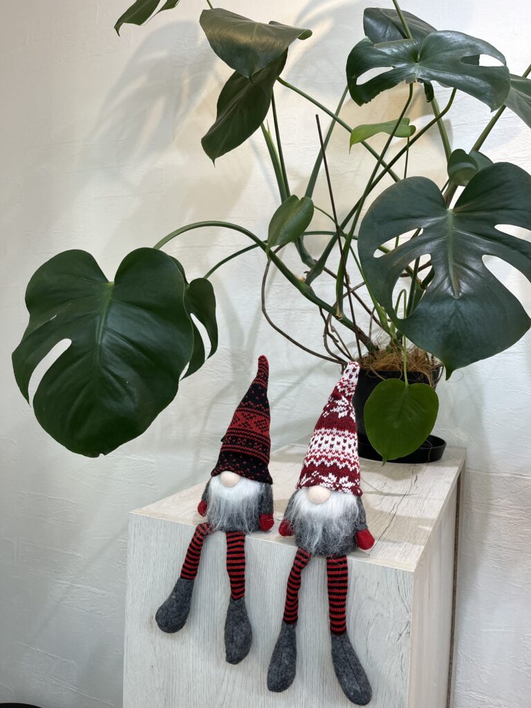 年内31日まで休まず営業しています|年末の髪・頭皮を整えて新年を迎えませんか?